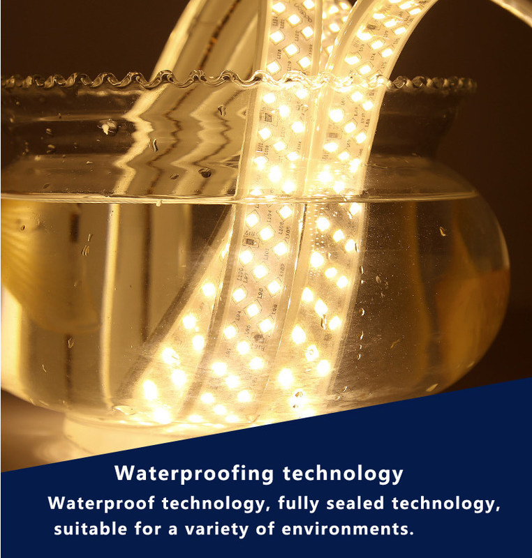 15 kg Poids du produit Lumière de bande de festival 3 2835 2700k 24v 12v SMD 2835 LED