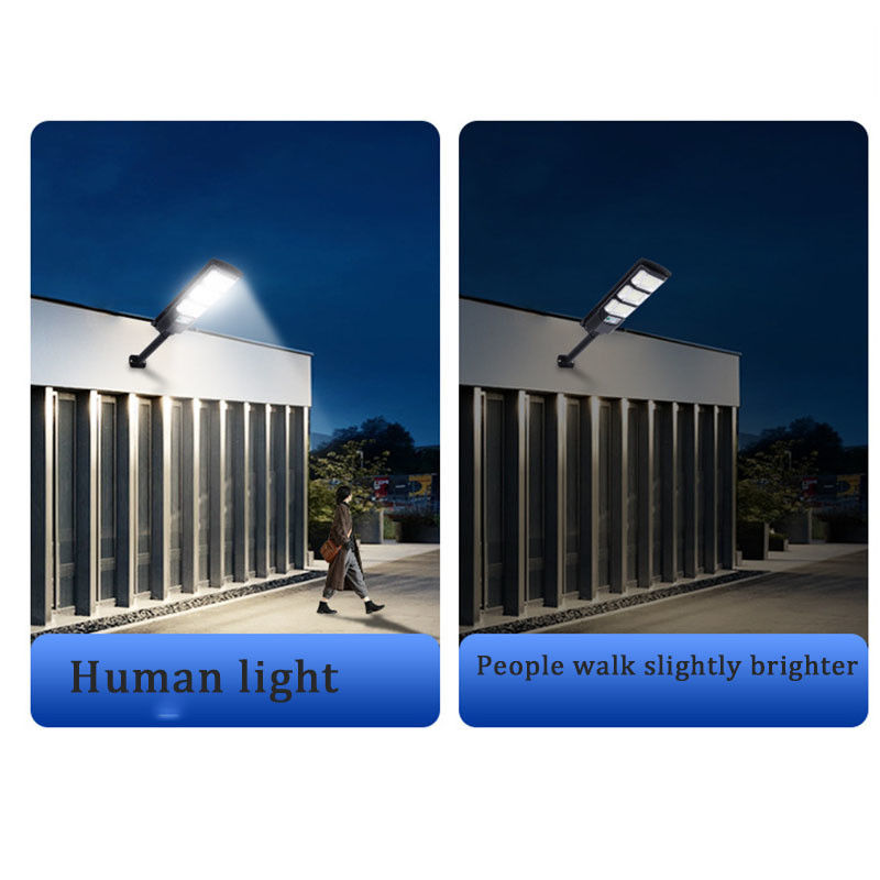 Conception d'éclairage et de circuits pour une lampe de rue à induction de puissance de 0,23 kg dans les zones rurales